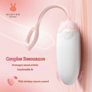 Remote control vibrating egg, wireless remote control, rechargeable, 10 vibration frequencies for pleasure, adult sex toy vibrator, suitable for women or couples.